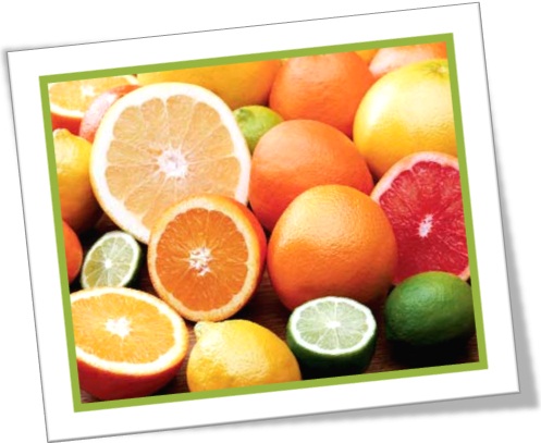 frutas cítricas laranja, limão, lima, grapefruit, citro, cítrus