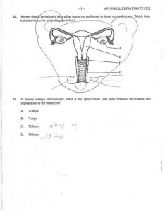 órgão sexual feminino, anatomia feminina, pérolas dos estudantes, vagina, funny answer