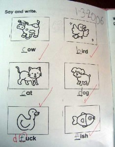 funny answer, pérolas dos estudantes, vaca, pássaro, gato, cão, pato, peixe