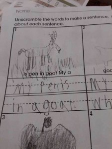 my penis in a goat, funny answer, goat, pérolas de estudantes, inglês