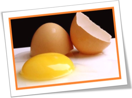 casca de ovo em inglês, clara e gema, eggshell