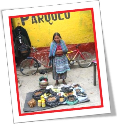 quiche indian woman, selling medicinal herbs, índia quiché