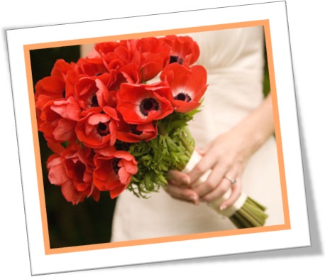 buquê de papoulas, poppy bouquet, noiva, fianceé, casamento, flores