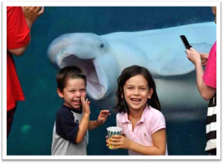 photobomb beluga branca fotografia crianças sorrisos diversão aquário