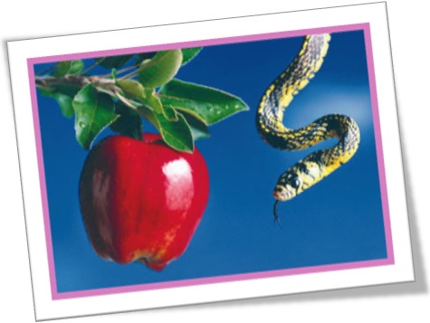 fruto proibido serpente maçã cobra tentação temptation