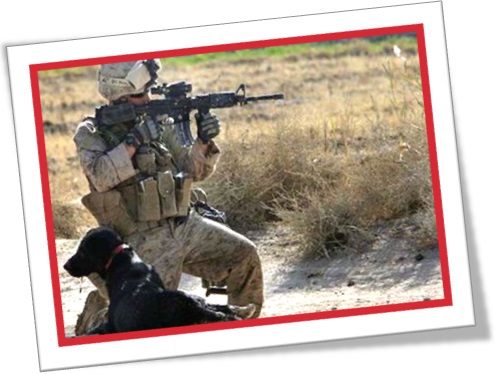 soldado atirando com fuzil e cachorro no deserto guerra arma