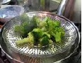 steam the broccoli cozinhe o brócoli no vapor