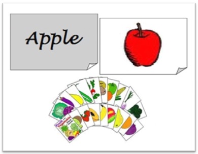modelo de flash card com imagens e palavras, flash cards ilustrados