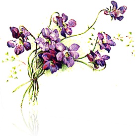 a-spray-of-violets.jpg