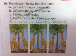 pérolas dos estudantes, inglês, biologia, girafas, crueldade, funny answers