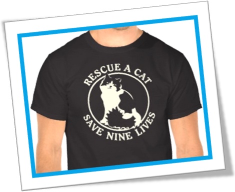 rescue a cat save nine lives, resgate um gato salve sete vidas