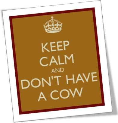 keep calm and dont have a cow, dar piti, dar chilique em inglês