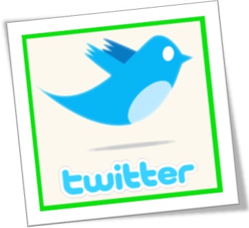 logo logotipo twitter pássaro passarinho rede social twitter