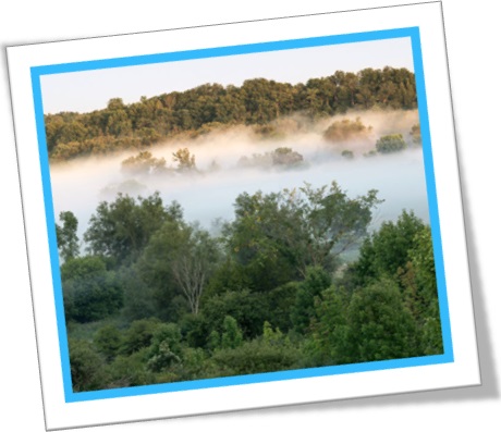 milky mist in the valley, névoa, neblina, cerração, brumas