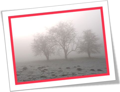 chilly morning, manhã fria, nevoeiro, fog, neblina, cerração no campo
