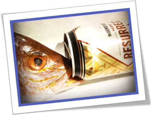 drink like a fish, beber muito, bêbado, peixe e lata de cerveja