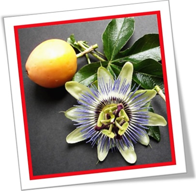 fruta maracujá e flor de maracujá, passion fruit, passion flower