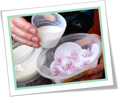 secagem de flores com sílica-gel, how to dry flowers with silica gel