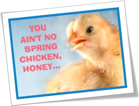 you are no spring chicken, you aint no chicken, honey