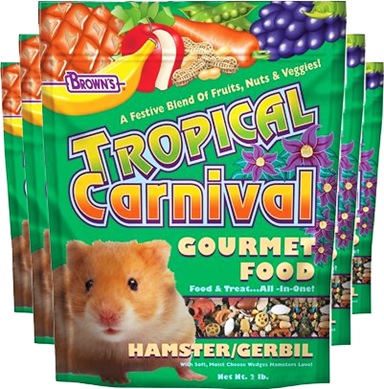 tropical carnival, browns, hamster, blend of fruits, nuts, veggies